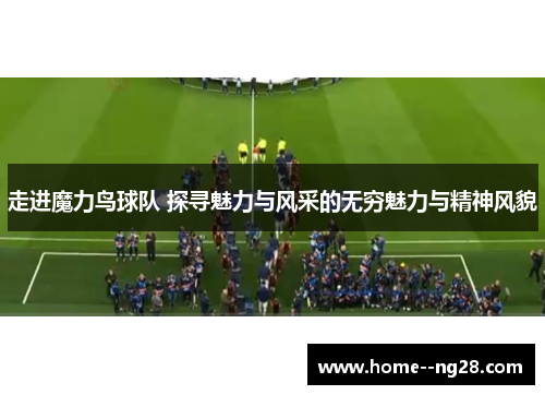 走进魔力鸟球队 探寻魅力与风采的无穷魅力与精神风貌