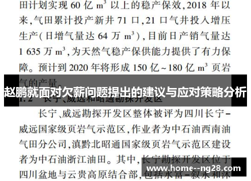 赵鹏就面对欠薪问题提出的建议与应对策略分析 赵鹏就面对欠薪问题提出的建议与应对策略分析