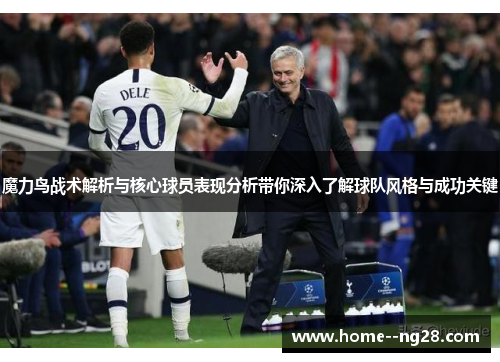 魔力鸟战术解析与核心球员表现分析带你深入了解球队风格与成功关键