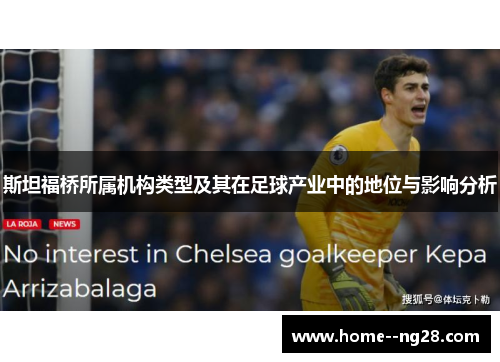 斯坦福桥所属机构类型及其在足球产业中的地位与影响分析 斯坦福桥所属机构类型及其在足球产业中的地位与影响分析