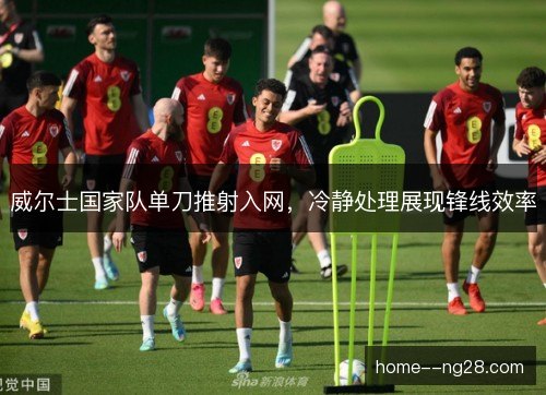 威尔士国家队单刀推射入网，冷静处理展现锋线效率
